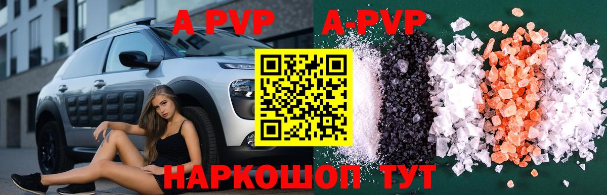 Alfa_PVP СК КРИС Беслан