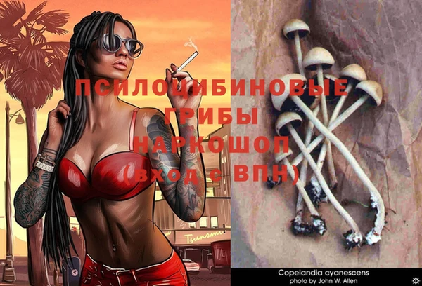 сатива Белоозёрский
