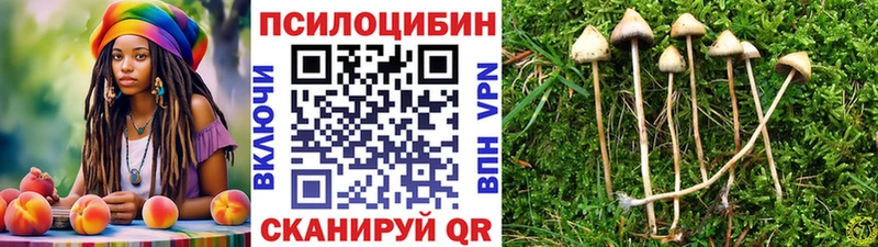 Псилоцибиновые грибы MAGIC MUSHROOMS  omg вход  Беслан 