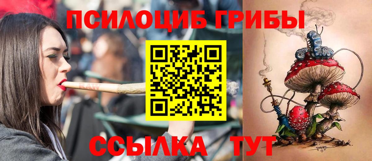 Псилоцибиновые грибы Psilocybe  Псилоцибиновые грибы GOLDEN TEACHER  Беслан  Вход с VPN 