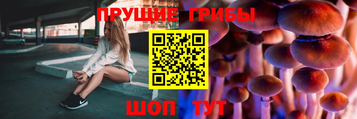 Псилоцибиновые грибы MAGIC MUSHROOMS  Галлюциногенные грибы GOLDEN TEACHER  Беслан 